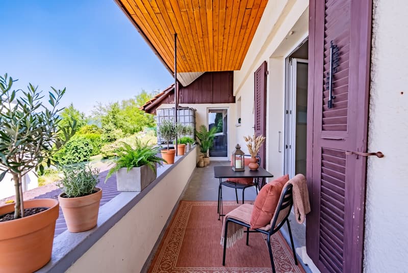 Multi-generation house with great potential (12)