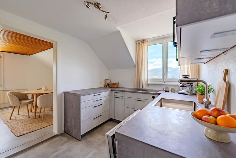 Multi-generation house with great potential (10)