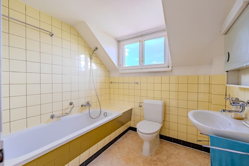 Multi-generation house with great potential (13)