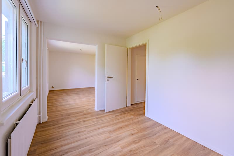Multi-generation house with great potential (6)