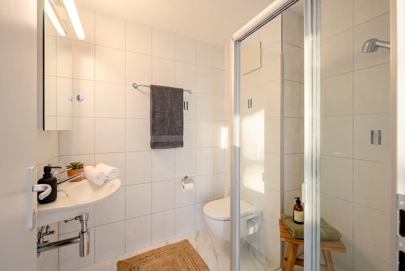 Appartement spacieux au rez-de-chaussée - fraîchement rénové (11)