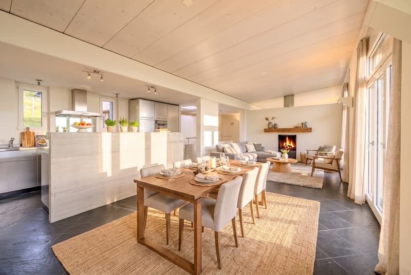 Your charming home with a magnificent view of Lake Zurich (4)