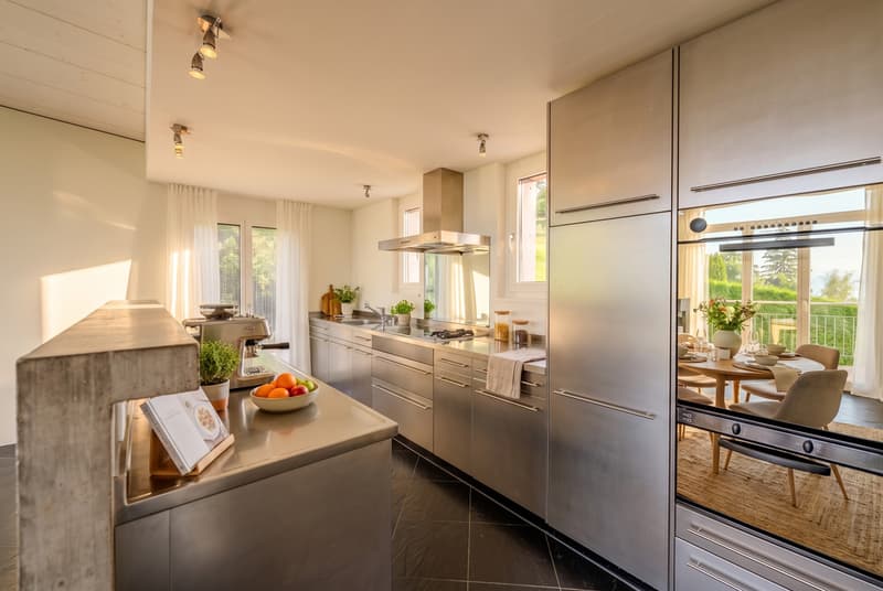 Your charming home with a magnificent view of Lake Zurich (5)