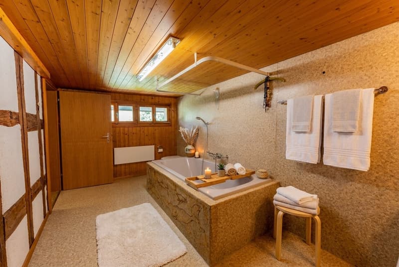 Einzigartiges Haus mit viel Um- und Ausbaupotenzial (9)