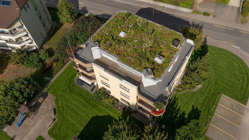 Exklusive Attikawohnung umschlossen mit grosser Terrasse (12)