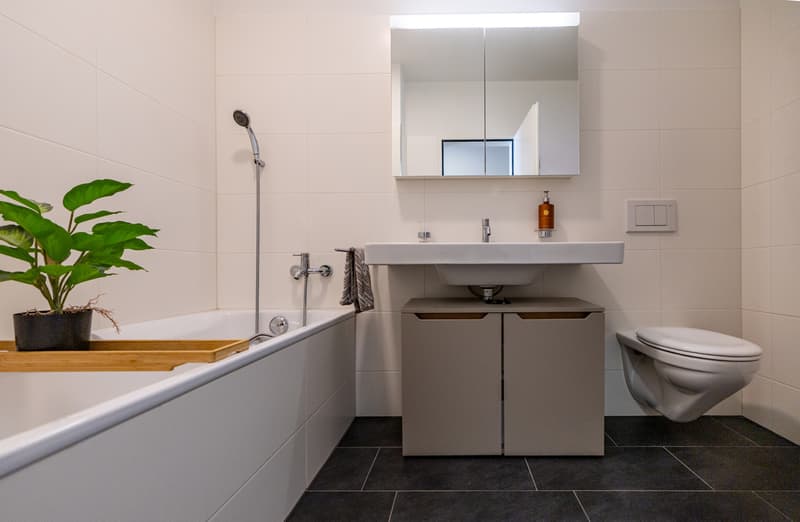 Moderne 4.5-Zimmer-Wohnung mit grosser Dachterrasse und Loggia an zent (10)