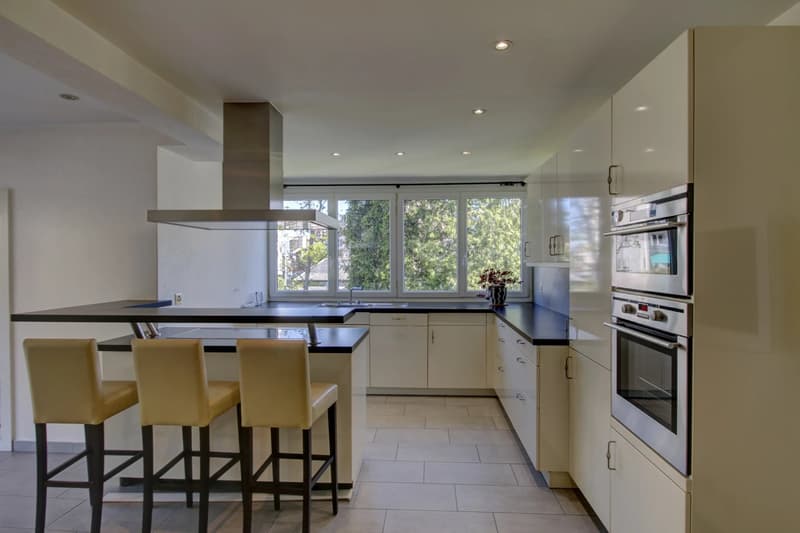 Splendide appartement 6,5 pièces au bord de la Vièze avec studio en copropriété (7)
