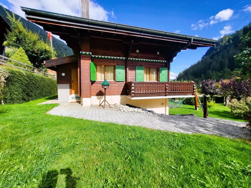 Meraviglioso Chalet a Morgins (3)