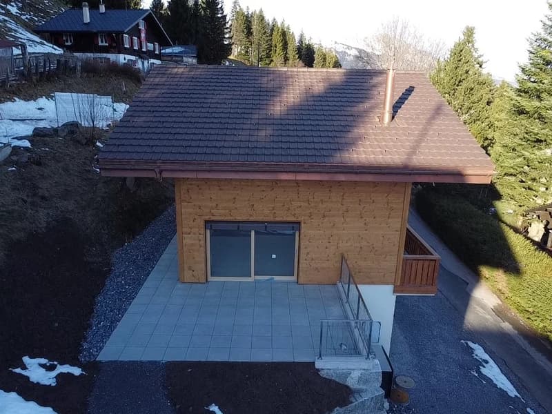 Splendid individual chalet in Les Giettes (6)