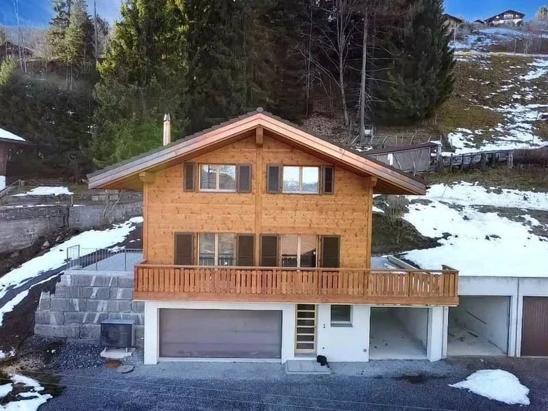 Splendid individual chalet in Les Giettes (3)