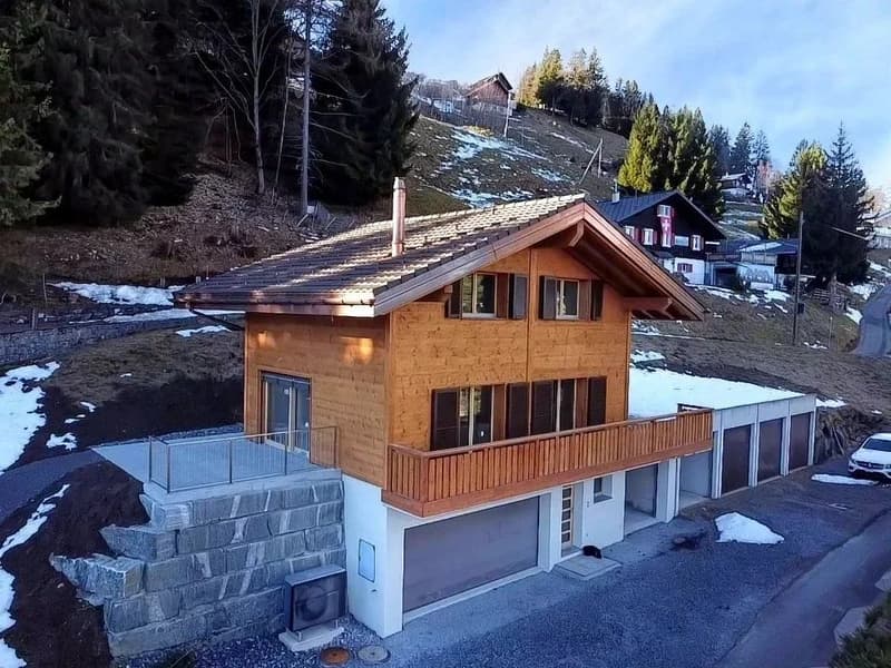 Splendid individual chalet in Les Giettes (1)