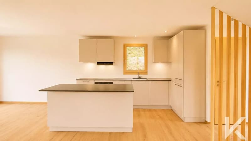 Splendido chalet individuale alle Giettes (5)