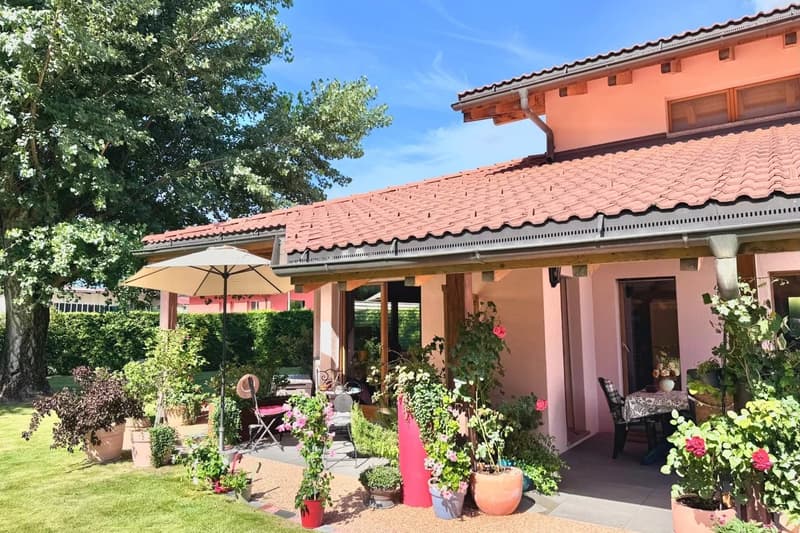 Villa di charme con bel esterno (12)
