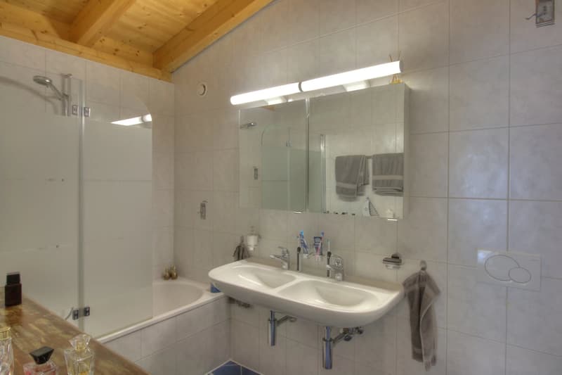 Magnificent 4.5-room attic with breathtaking view (11)