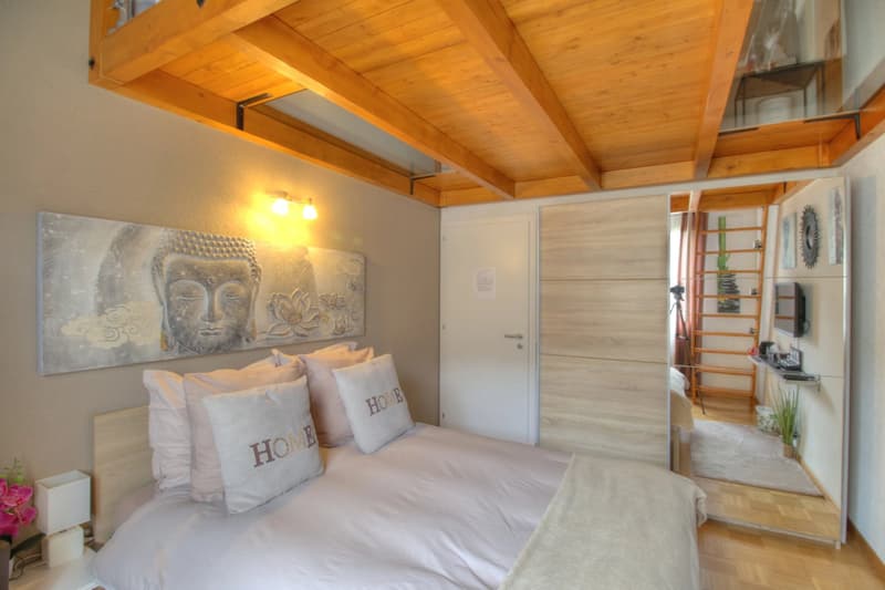 Magnificent 4.5-room attic with breathtaking view (8)