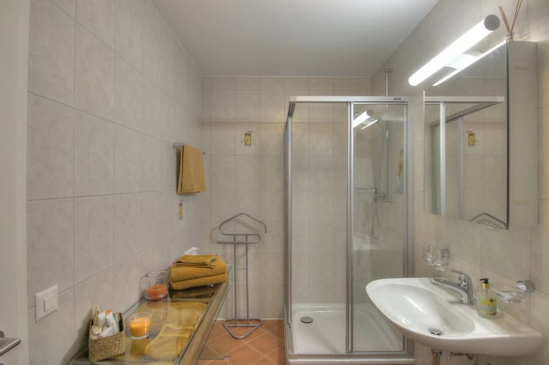 Magnificent 4.5-room attic with breathtaking view (9)
