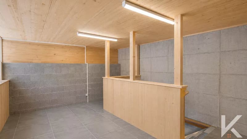 Locale commerciale Collombey-Muraz (5)