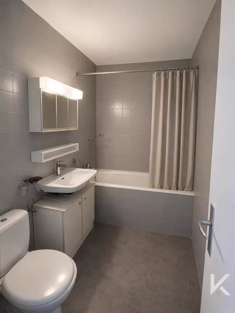 Rental Studio 1.5 rooms Monthey (3)