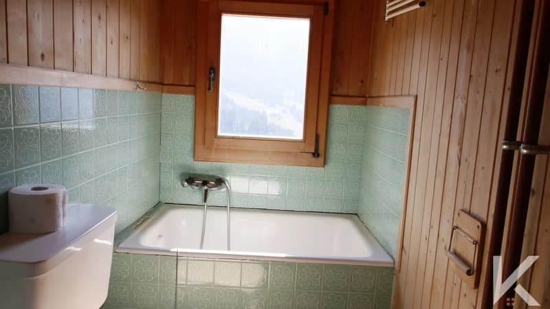 Chalet au coeur des montagnes (7)