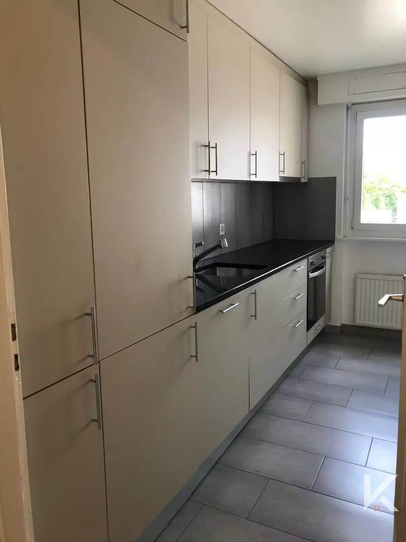 Spacieux appartement de 3.5 pièces (3)