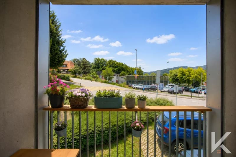 Appartement de rendement 3.5 pièces à Attalens (11)