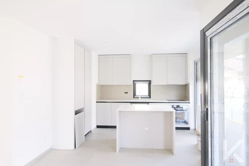Lumineux appartement 4.5 pièces (3)
