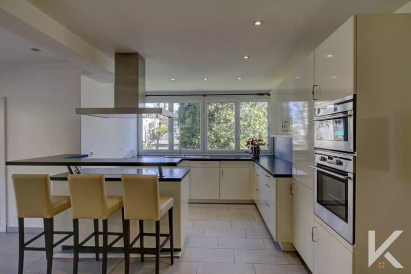 Splendide appartement 6,5 pièces au bord de la Vièze avec studio en copropriété (6)