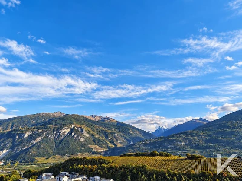 Villa de 5.5 pièces au coeur des vignes avec vue panoramique exceptionnelle (5)