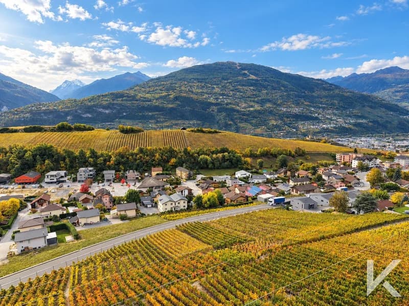 Villa de 5.5 pièces au coeur des vignes avec vue panoramique exceptionnelle (2)