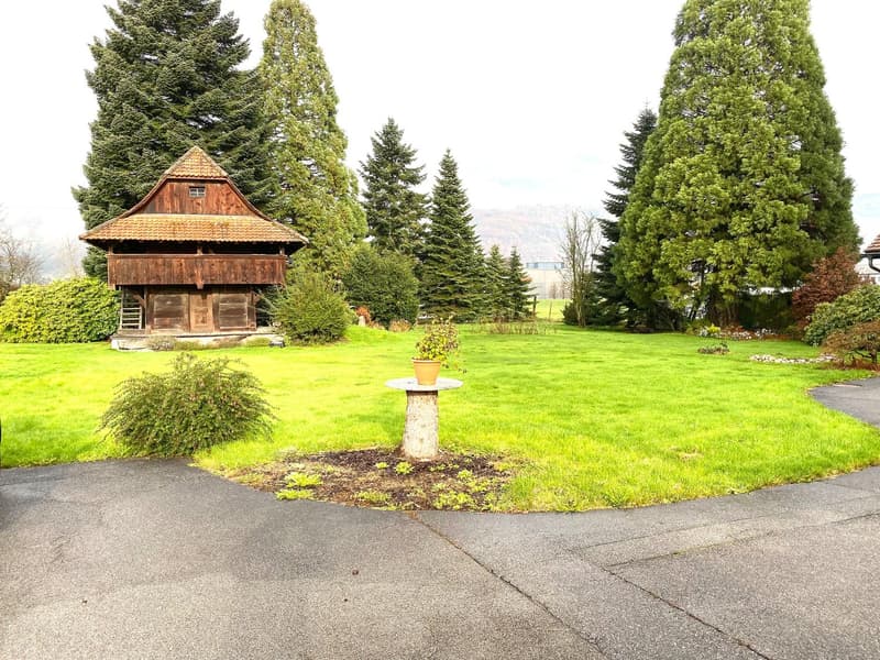 Garden with wooden house, plants, trees, and a lawn. Path leading to wooden house. Potted plant on a pedestal in the middle of the lawn.