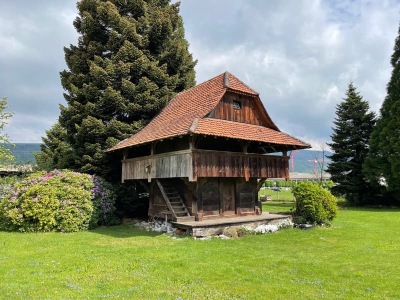 Old wooden house with tiled roof, surrounded by lush greenery and large trees.
