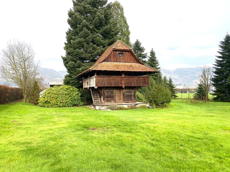 Large plot of land with storage for gardeners and gardening enthusiasts in Niederbuchsiten (4)