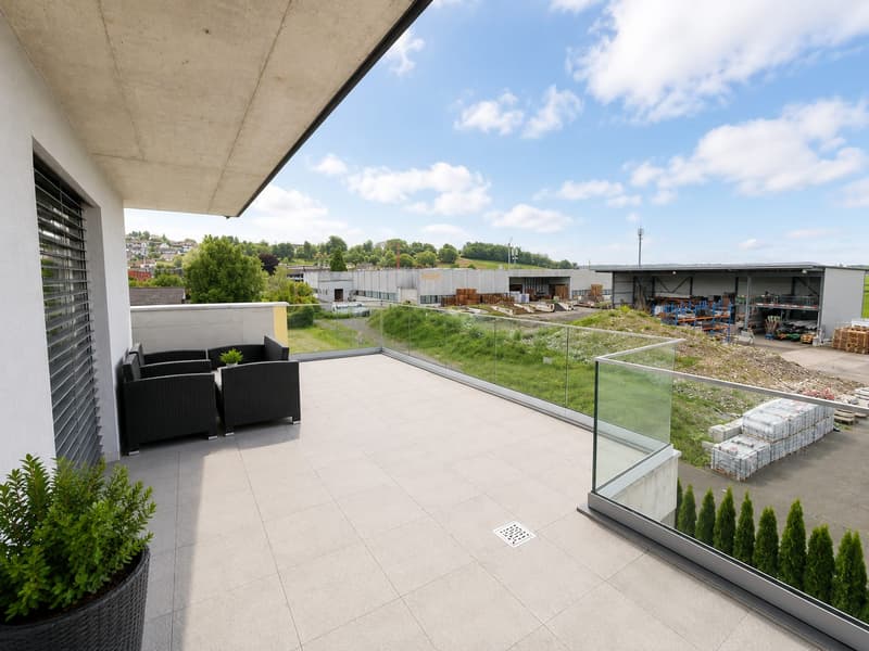 Appartamento moderno in attico di 4,5 locali con vista panoramica a Kestenholz (10)