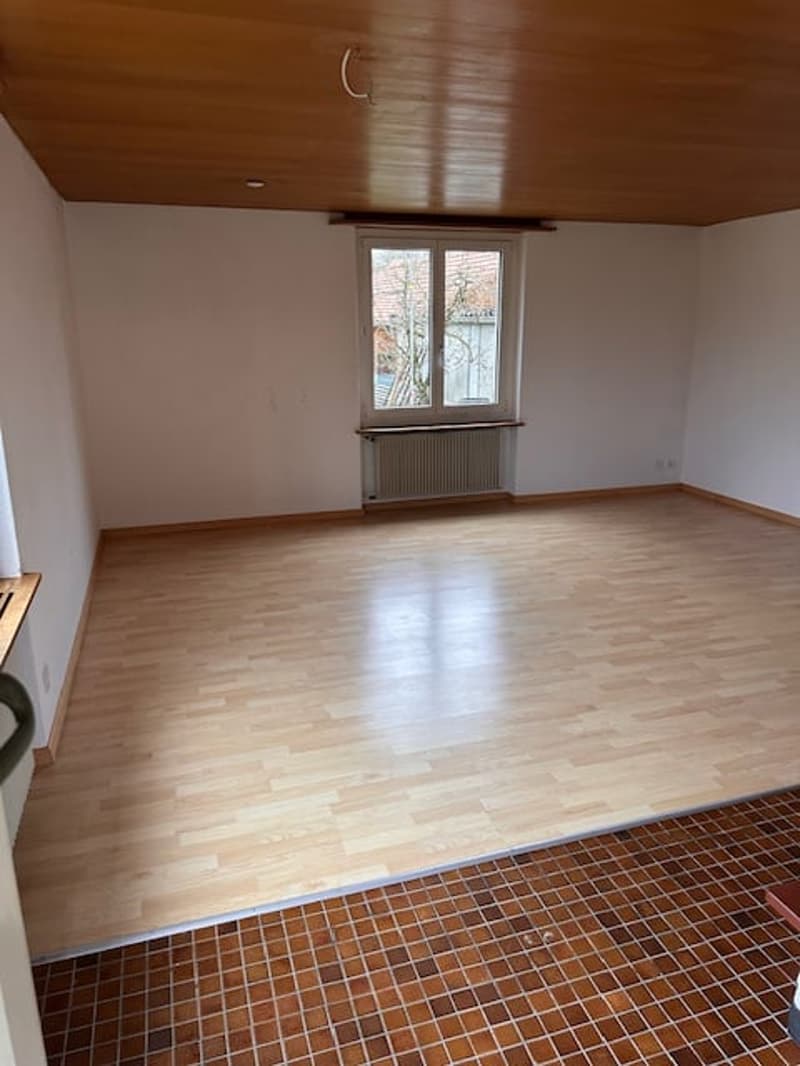 Appartement de charme et confortable dans un immeuble ancien, situé dans un endroit calme et ensoleillé, limité jusqu'au printemps 2027 (6)