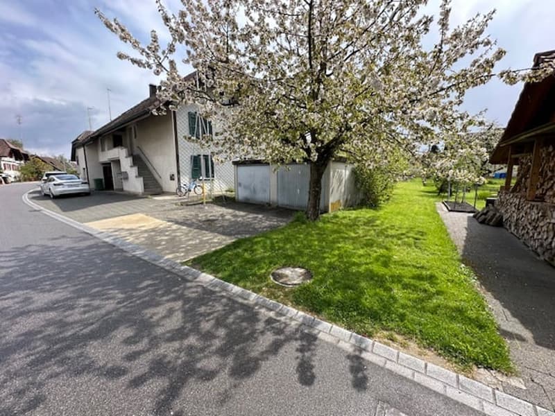 Appartement de charme et confortable dans un immeuble ancien, situé dans un endroit calme et ensoleillé, limité jusqu'au printemps 2027 (2)