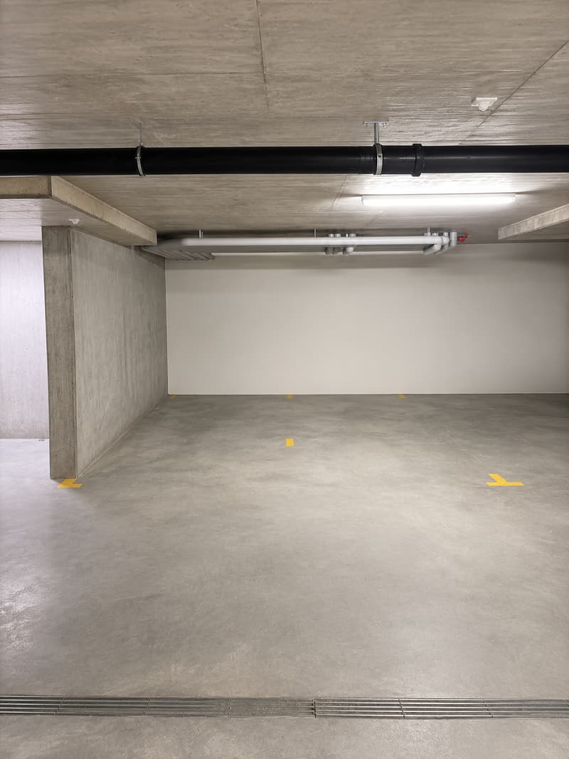 Einstellhallenplatz Nr. 1 (1)