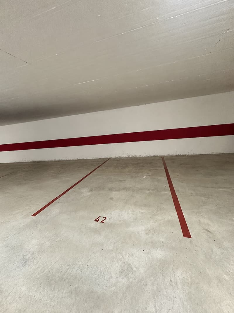Einstellhallenplatz zu vermieten (1)