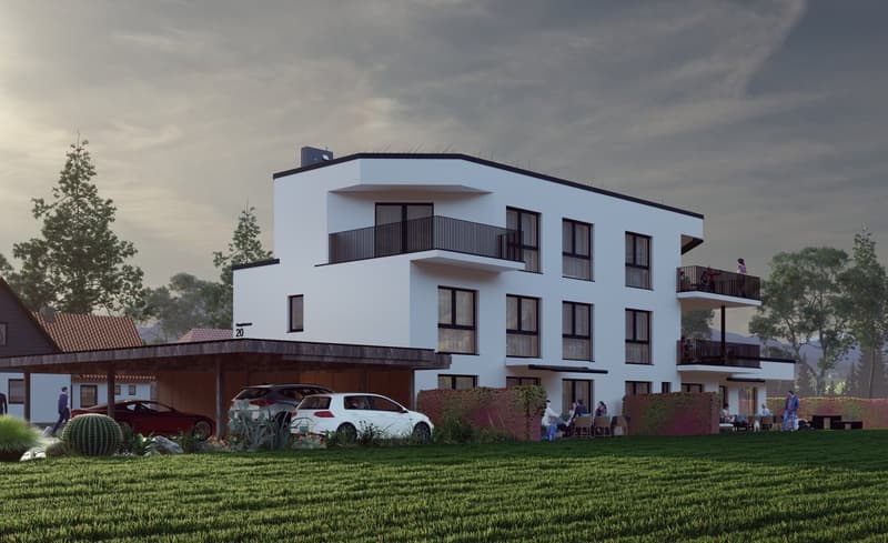 Moderne 3.5-Zimmer-Wohnung im steuergünstigen Däniken an exklusiver Lage (3)