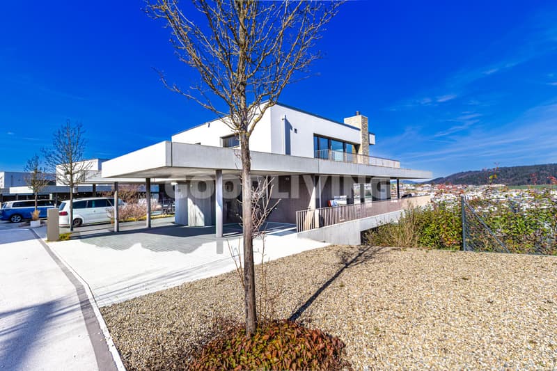 Architecture with a far-reaching view (1)