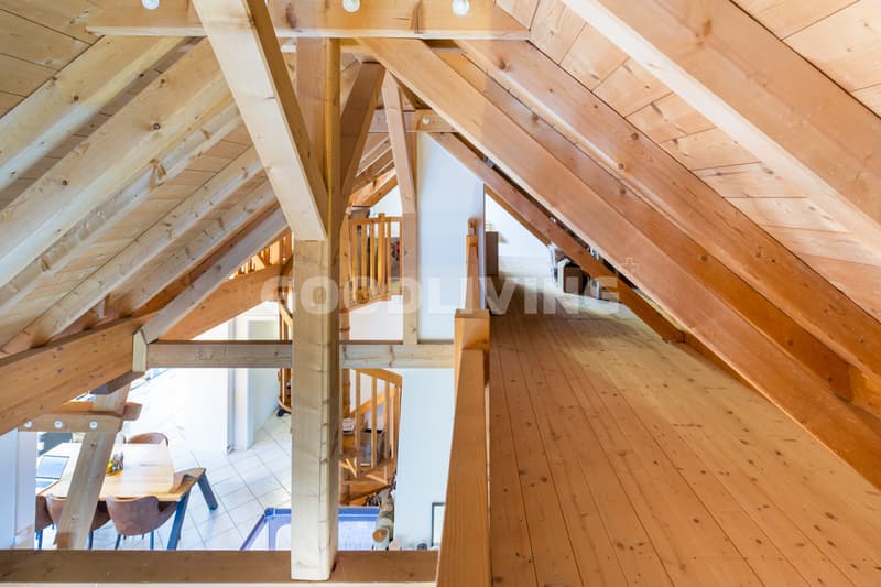 Duplex avec galerie et grand volume (7)