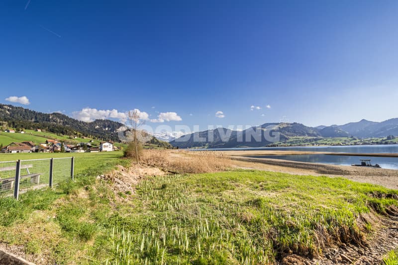 Living between nature and Sihlsee (8)