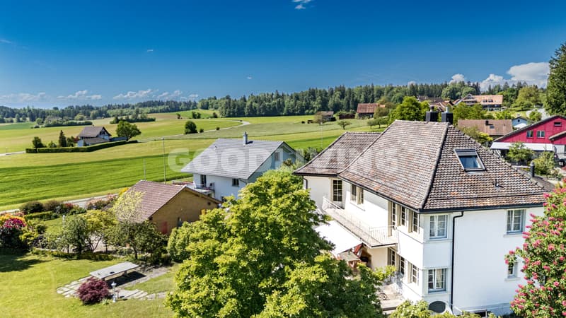 Luxurious Estate with Park-like Grounds and Development Potential (5)