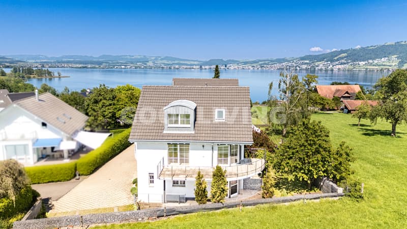 Living between nature and Lake Zug (1)