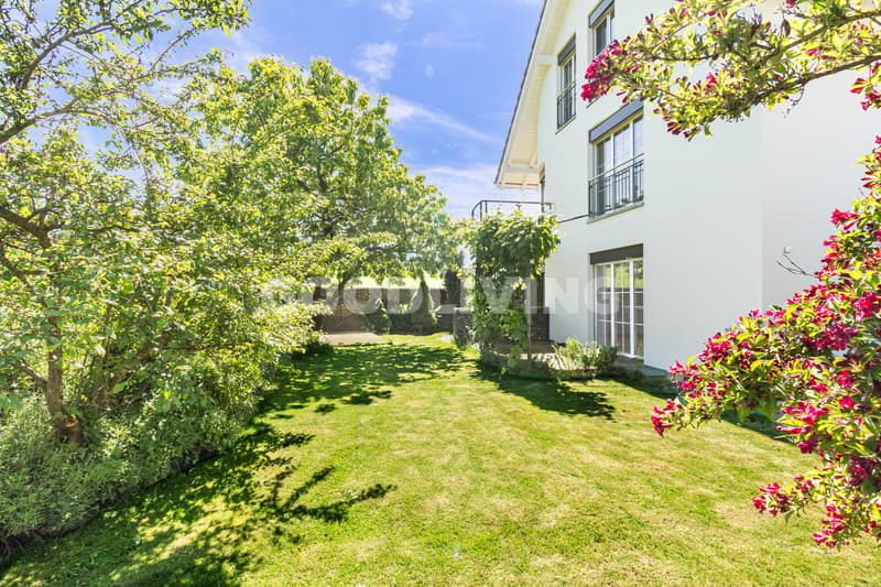 Living between nature and Lake Zug (13)