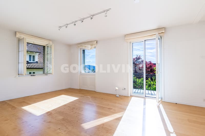 Character property on Zürichberg with development potential (6)
