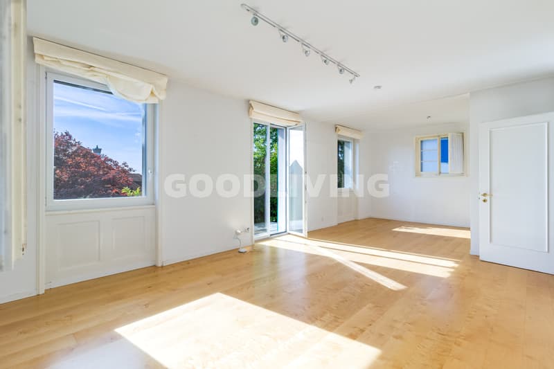 Character property on Zürichberg with development potential (4)