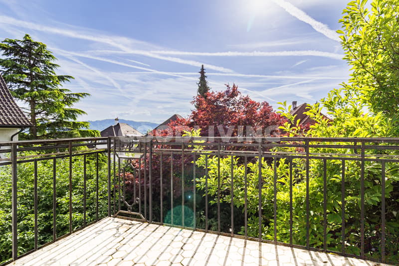 Character property on Zürichberg with development potential (3)