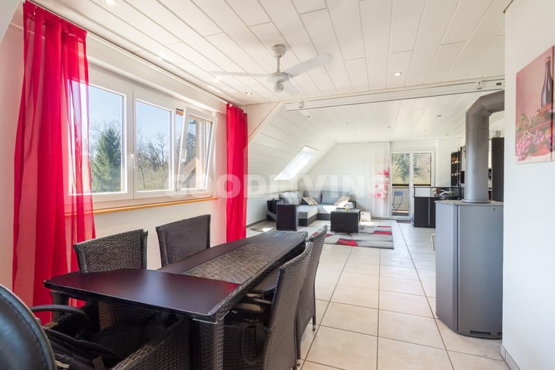Maisonette im Grünen mit Galerie / Duplex avec galerie en environnement verdoyant (2)