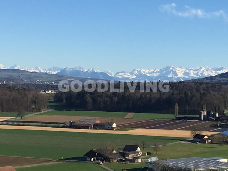 Wohnen mit Weitblick (2)