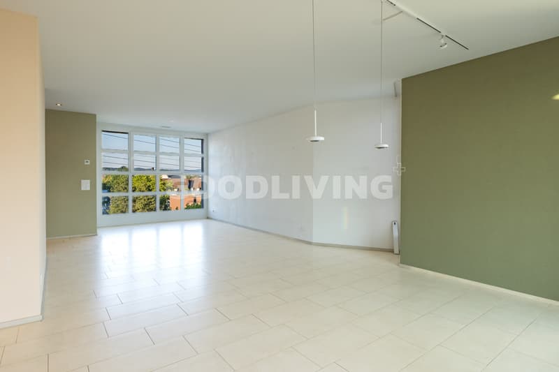 Living comfort with large terrace (9)